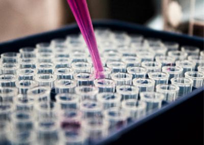 News Announcement — September 2025