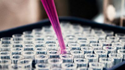 News Announcement — September 2025